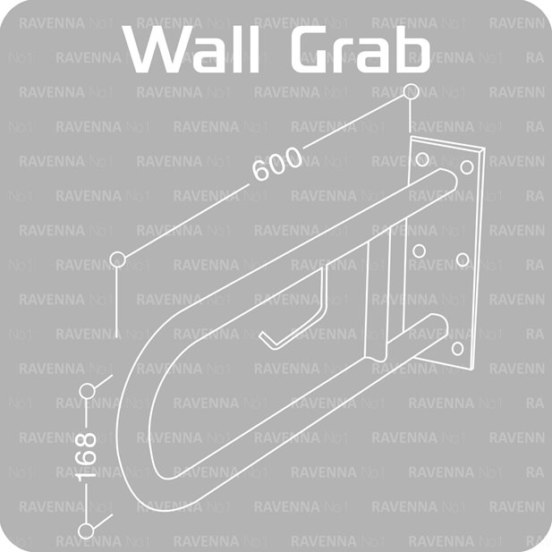 Wall Mounted Grab Rail with toilet roll holder for disable persons.