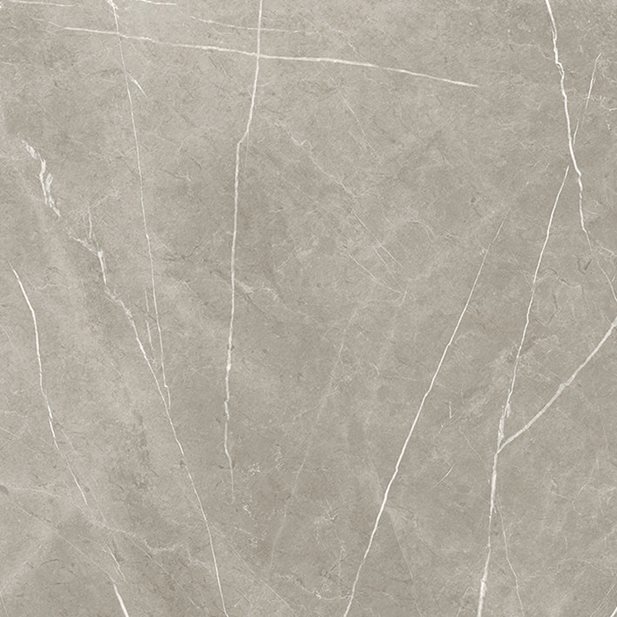 Etern. Taupe Natural Rectified 120 x 120