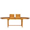 Travis Outdoor Acacia Wood Extendable Dining Table