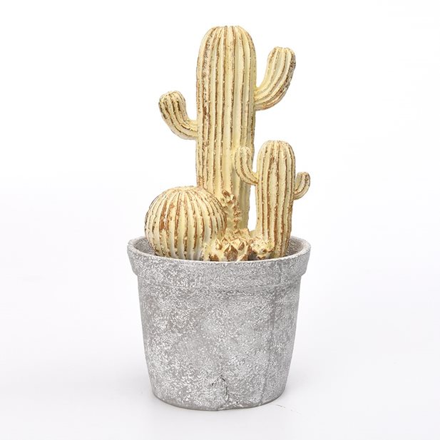 Mexico Cactus Decor