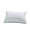 Kentia Dream Pillow