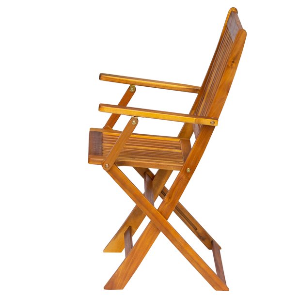 Eliana Outdoor Acacia Wood Folding Chair