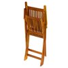 Eliana Outdoor Acacia Wood Folding Chair