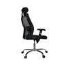 Tore Boss Executive Office Chair 65 x 53 x117/126