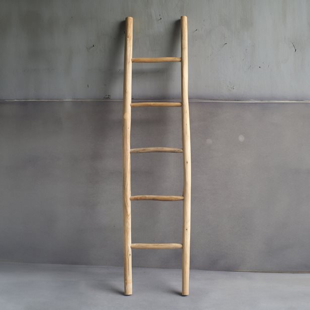 Natty Natural Teak Wood Ladder