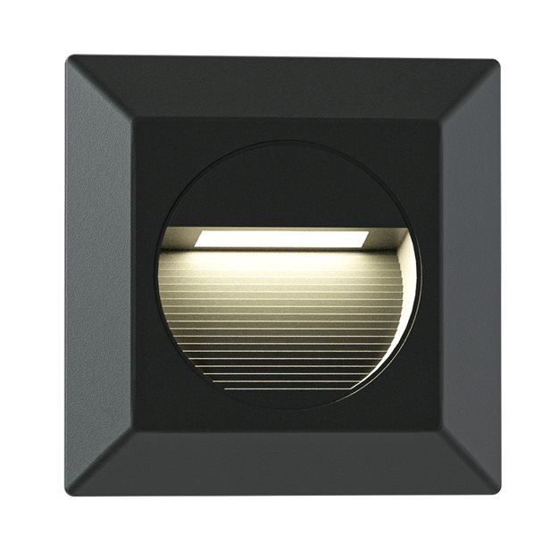 Anica Black Outdoor LED  Wall Light IP54