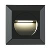 Anica Black Outdoor LED  Wall Light IP54