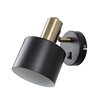 Carlos Black And Antique Brass Wall Light